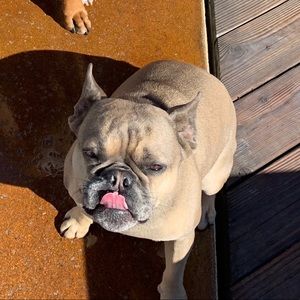 Meet your Posher, Danny